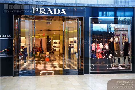 Prada canada stores